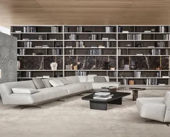 Libreria di Poliform con divano di Poliform